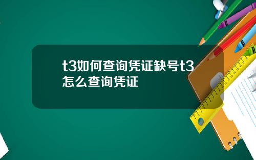 t3如何查询凭证缺号t3怎么查询凭证