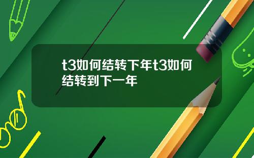 t3如何结转下年t3如何结转到下一年