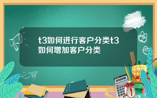 t3如何进行客户分类t3如何增加客户分类