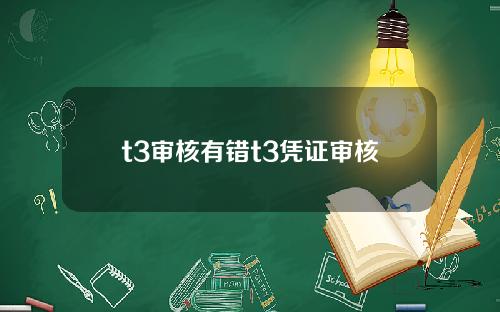 t3审核有错t3凭证审核