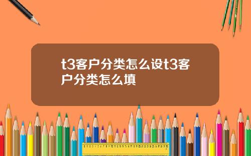 t3客户分类怎么设t3客户分类怎么填