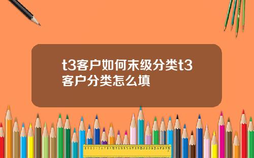 t3客户如何末级分类t3客户分类怎么填