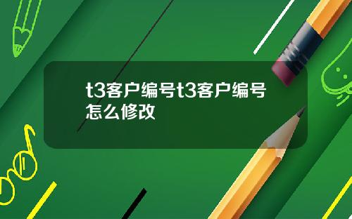t3客户编号t3客户编号怎么修改