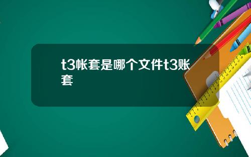 t3帐套是哪个文件t3账套