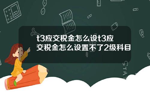 t3应交税金怎么设t3应交税金怎么设置不了2级科目