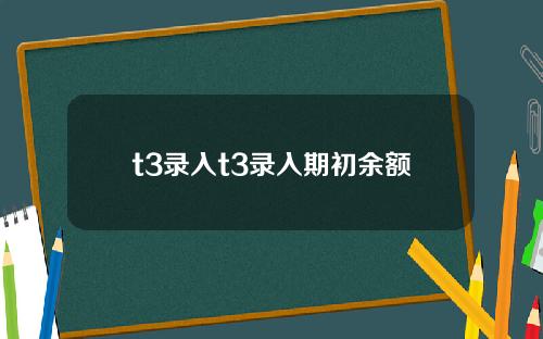 t3录入t3录入期初余额