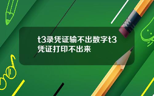 t3录凭证输不出数字t3凭证打印不出来