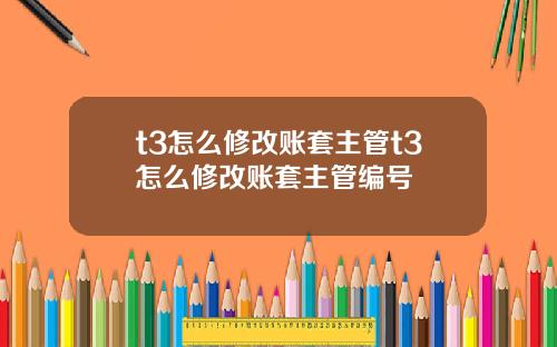 t3怎么修改账套主管t3怎么修改账套主管编号