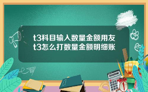 t3科目输入数量金额用友t3怎么打数量金额明细账