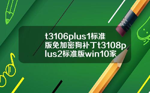 t3106plus1标准版免加密狗补丁t3108plus2标准版win10家庭版