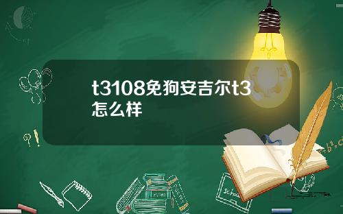 t3108免狗安吉尔t3怎么样