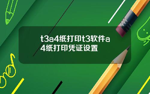 t3a4纸打印t3软件a4纸打印凭证设置