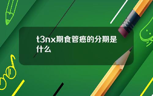 t3nx期食管癌的分期是什么