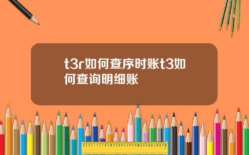 t3r如何查序时账t3如何查询明细账
