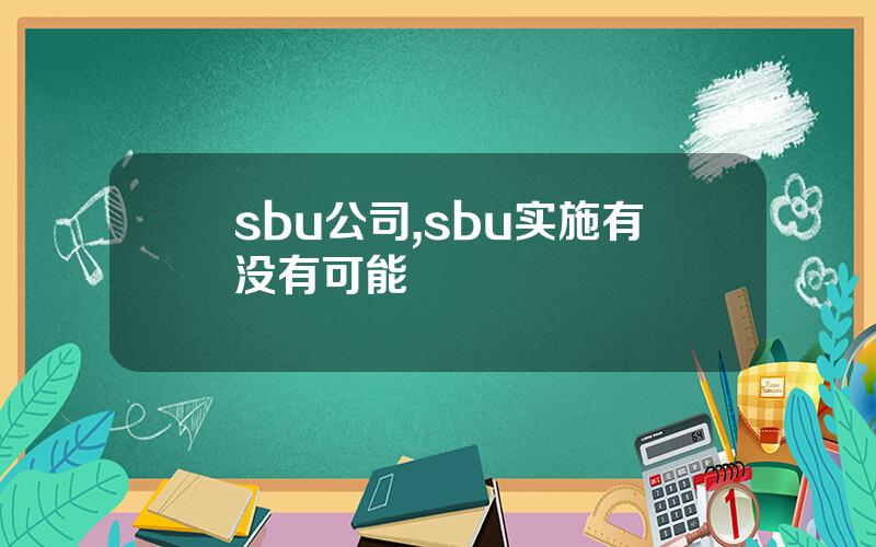 sbu公司,sbu实施有没有可能