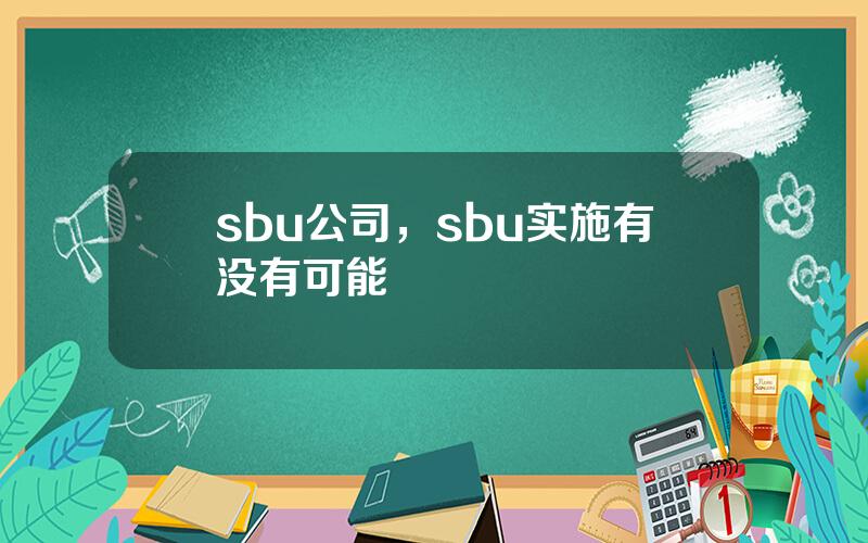 sbu公司，sbu实施有没有可能