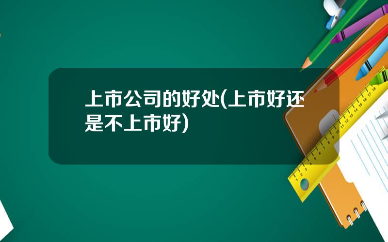 上市公司的好处(上市好还是不上市好)