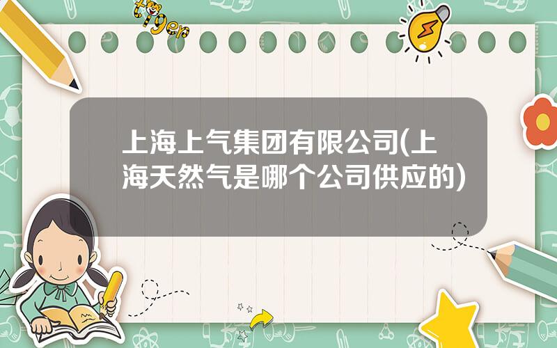 上海上气集团有限公司(上海天然气是哪个公司供应的)