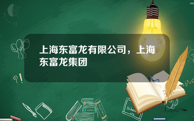 上海东富龙有限公司，上海东富龙集团