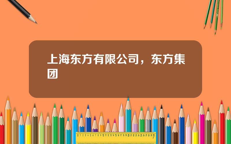 上海东方有限公司，东方集团