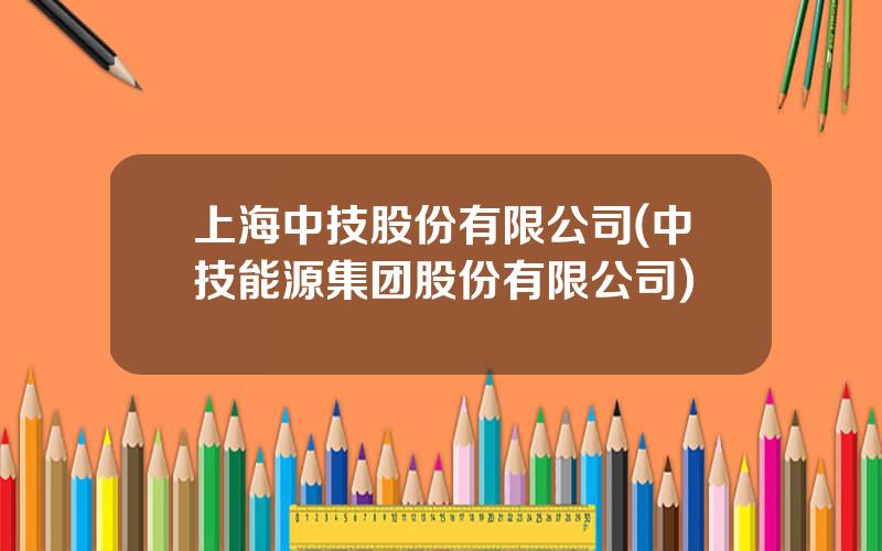 上海中技股份有限公司(中技能源集团股份有限公司)