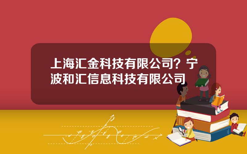 上海汇金科技有限公司？宁波和汇信息科技有限公司