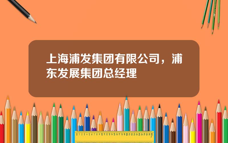 上海浦发集团有限公司，浦东发展集团总经理