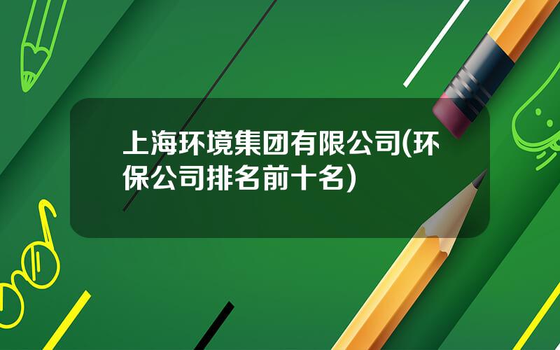 上海环境集团有限公司(环保公司排名前十名)