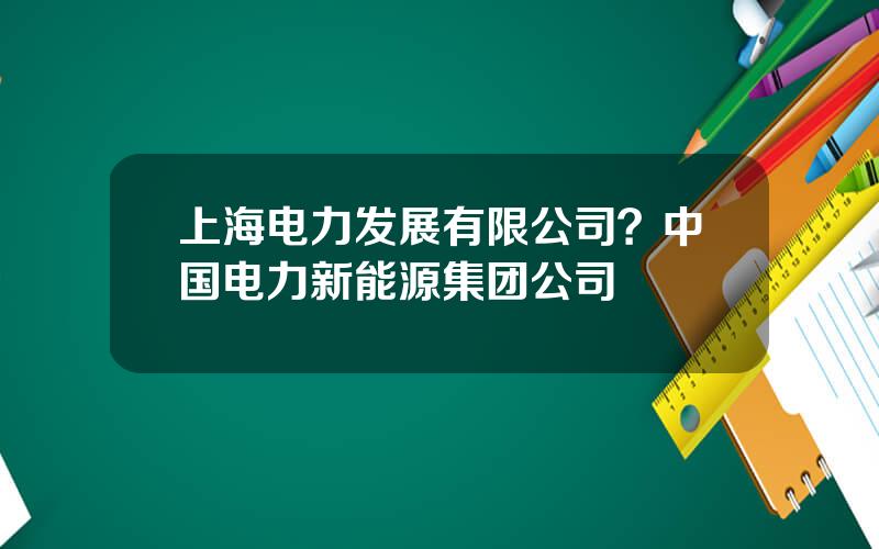 上海电力发展有限公司？中国电力新能源集团公司