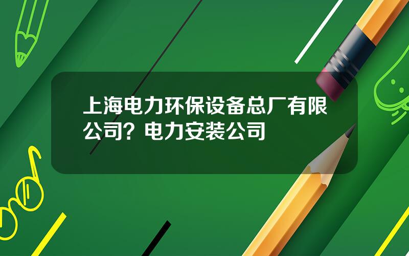 上海电力环保设备总厂有限公司？电力安装公司