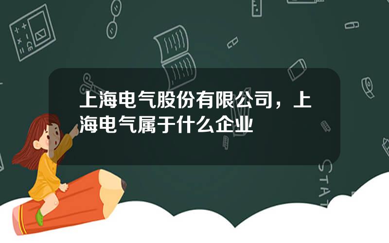 上海电气股份有限公司，上海电气属于什么企业