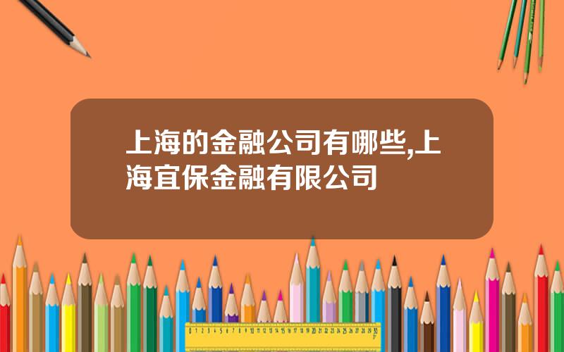 上海的金融公司有哪些,上海宜保金融有限公司