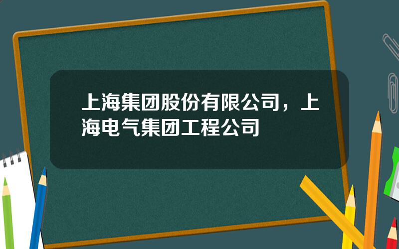 上海集团股份有限公司，上海电气集团工程公司