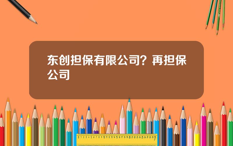 东创担保有限公司？再担保公司