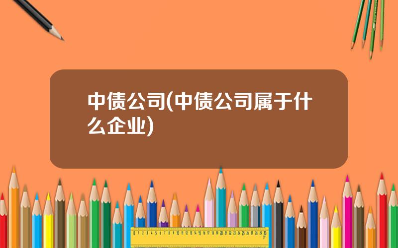 中债公司(中债公司属于什么企业)