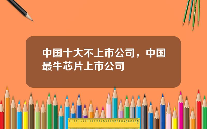 中国十大不上市公司，中国最牛芯片上市公司