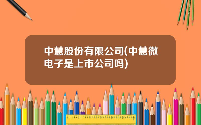 中慧股份有限公司(中慧微电子是上市公司吗)