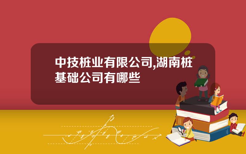 中技桩业有限公司,湖南桩基础公司有哪些