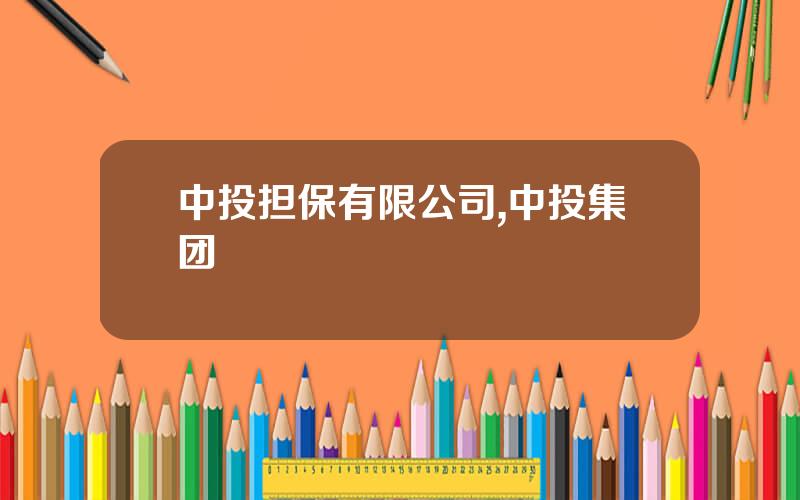 中投担保有限公司,中投集团