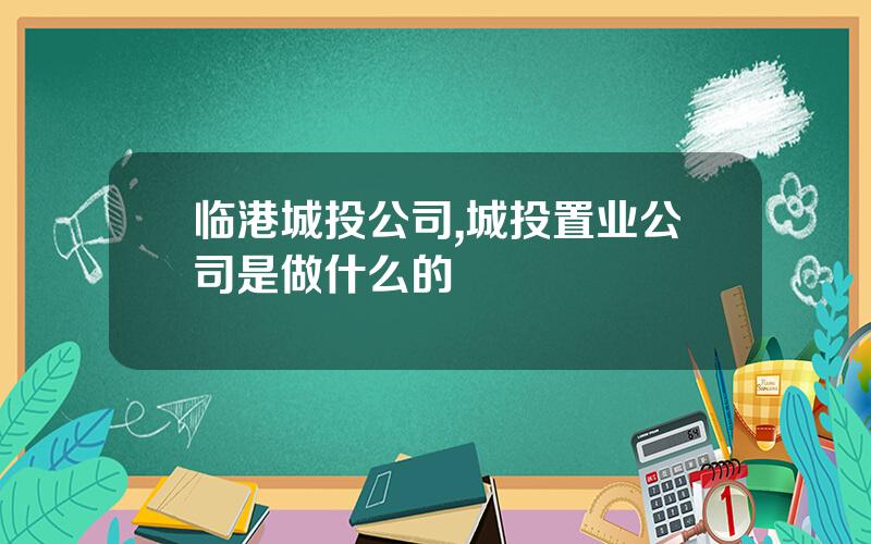 临港城投公司,城投置业公司是做什么的