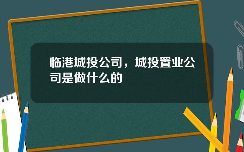 临港城投公司，城投置业公司是做什么的