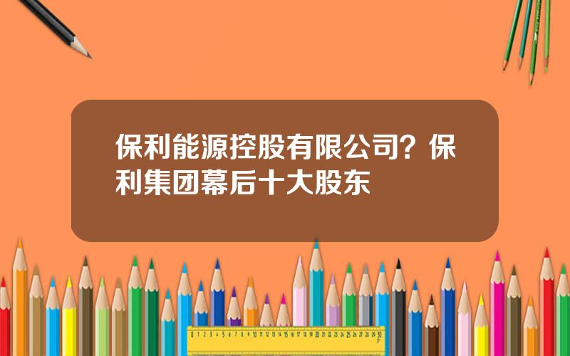 保利能源控股有限公司？保利集团幕后十大股东