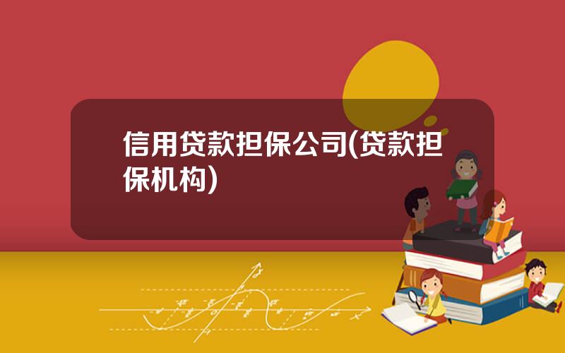 信用贷款担保公司(贷款担保机构)
