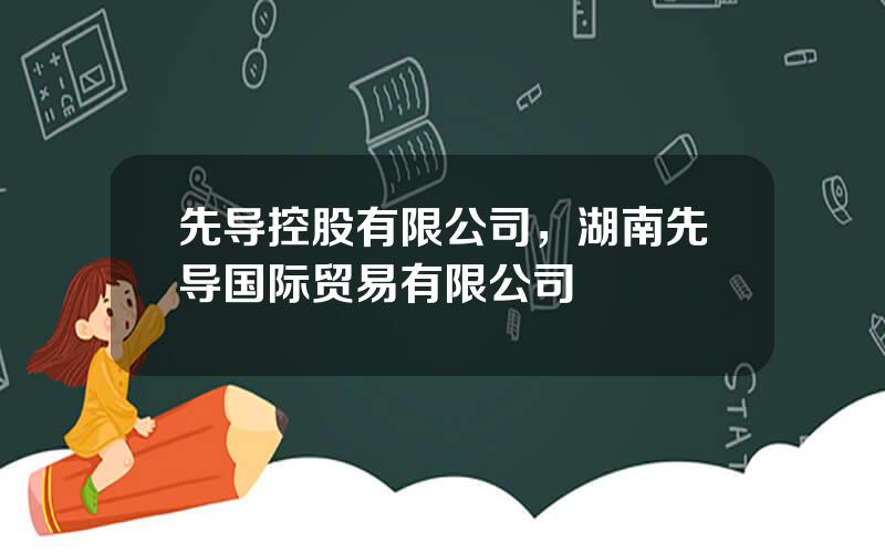 先导控股有限公司，湖南先导国际贸易有限公司