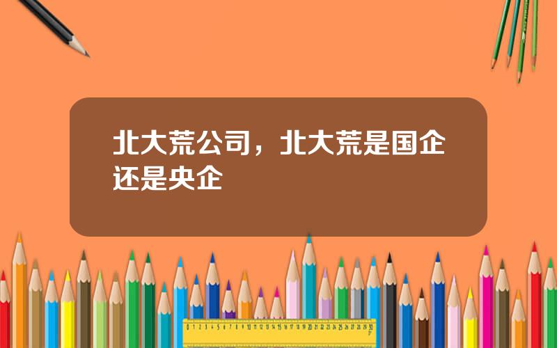北大荒公司，北大荒是国企还是央企