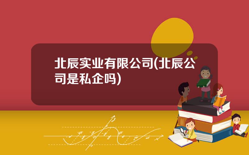 北辰实业有限公司(北辰公司是私企吗)