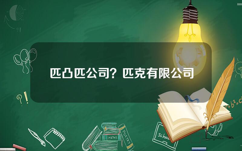 匹凸匹公司？匹克有限公司