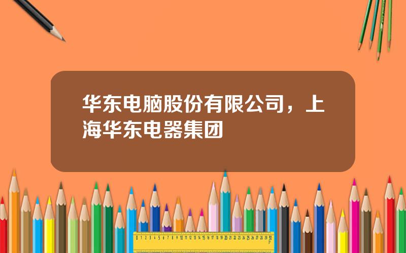 华东电脑股份有限公司，上海华东电器集团