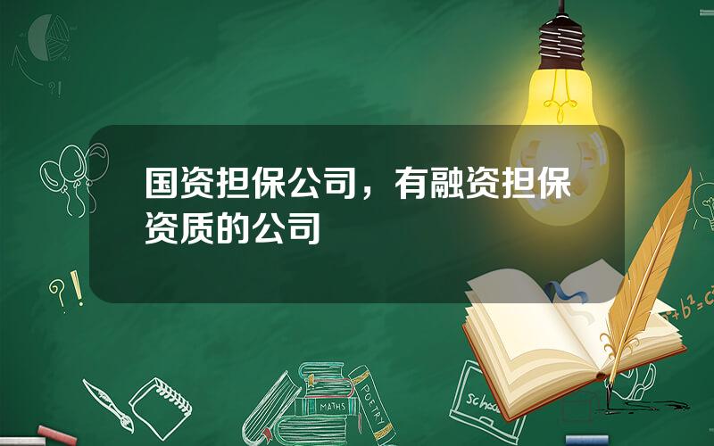 国资担保公司，有融资担保资质的公司
