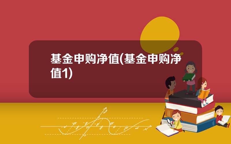 基金申购净值(基金申购净值1)